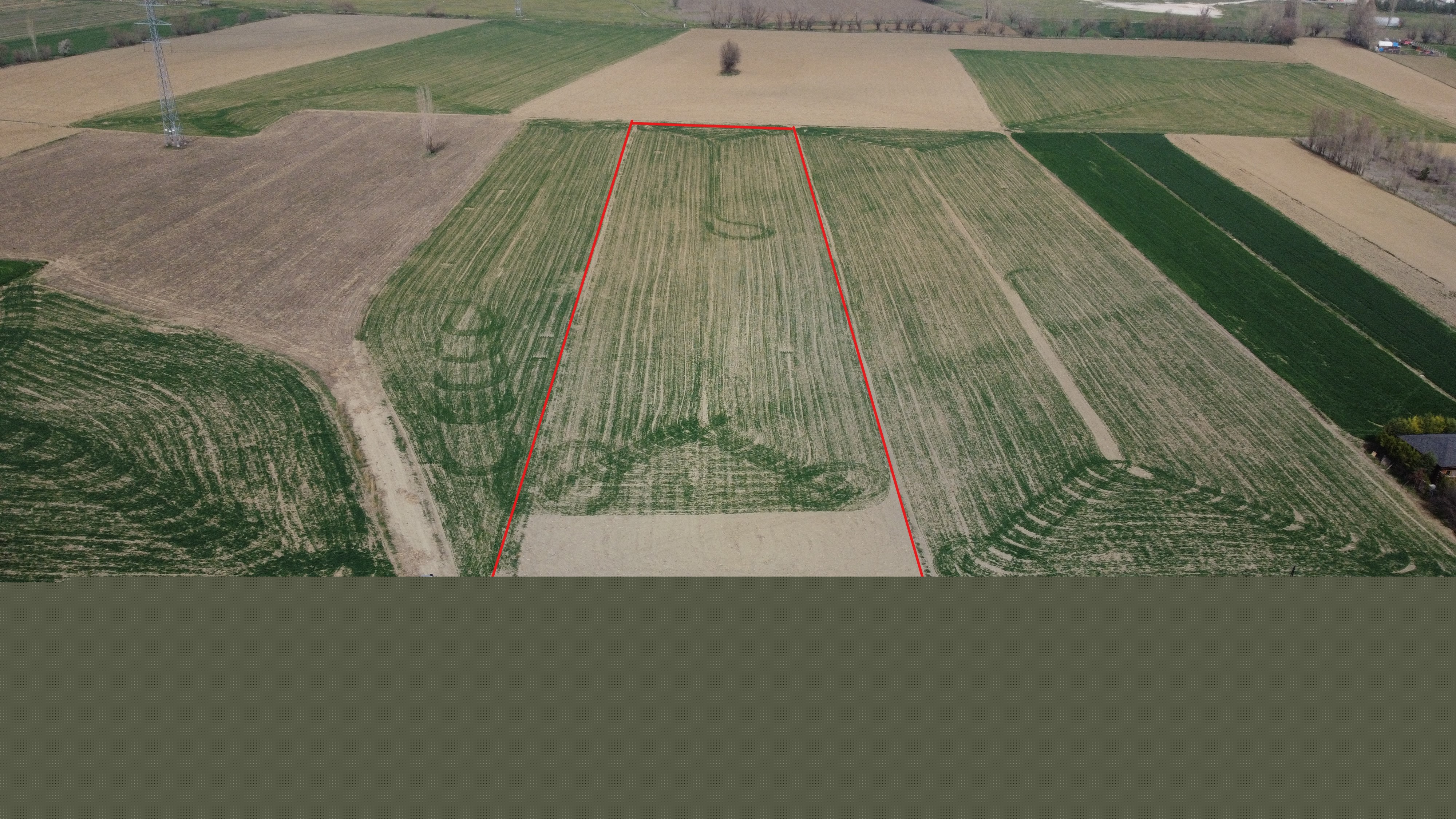 AŞAĞISÖĞÜTÖNÜ MAHALLESİ İMAR ALANI YAKINI 10,480 M² TARLA